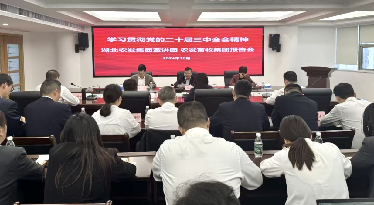 ��yun�����������