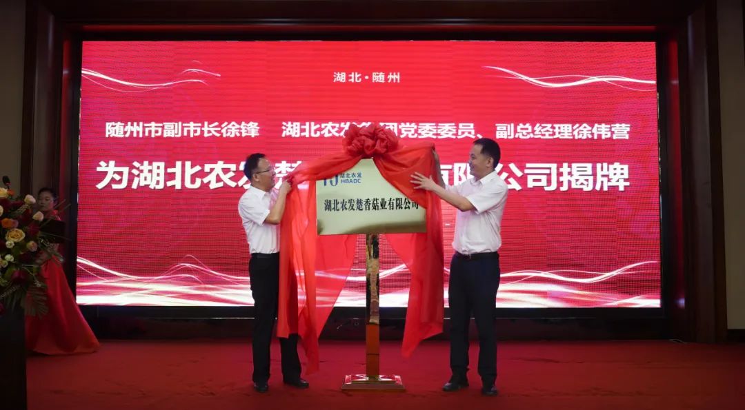 ��yun�����������