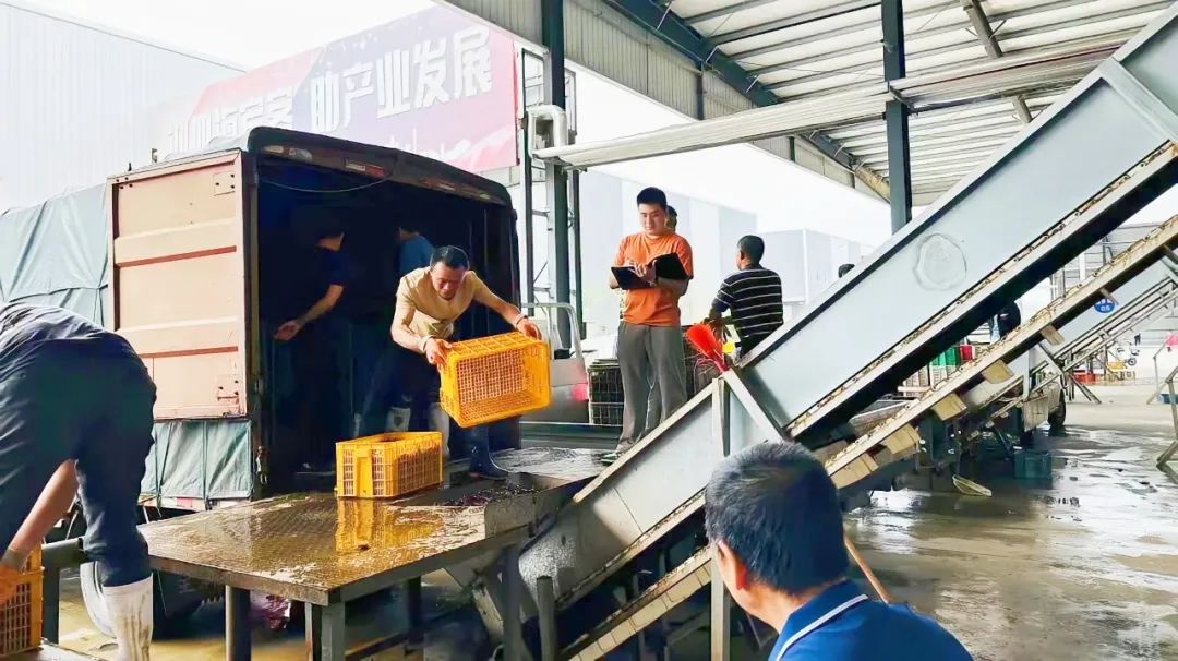 640 (8).jpg ¿ªyunÌåÓý¹ÙÍøÈë¿Ú