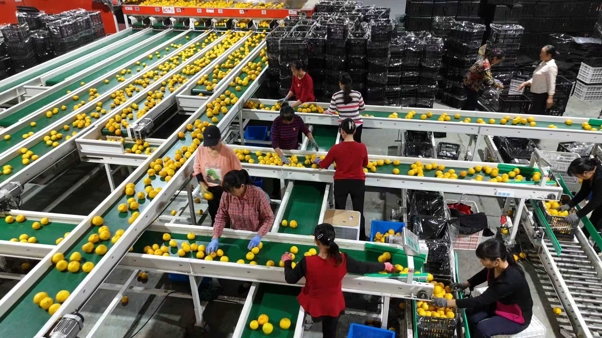 ��yun�����������