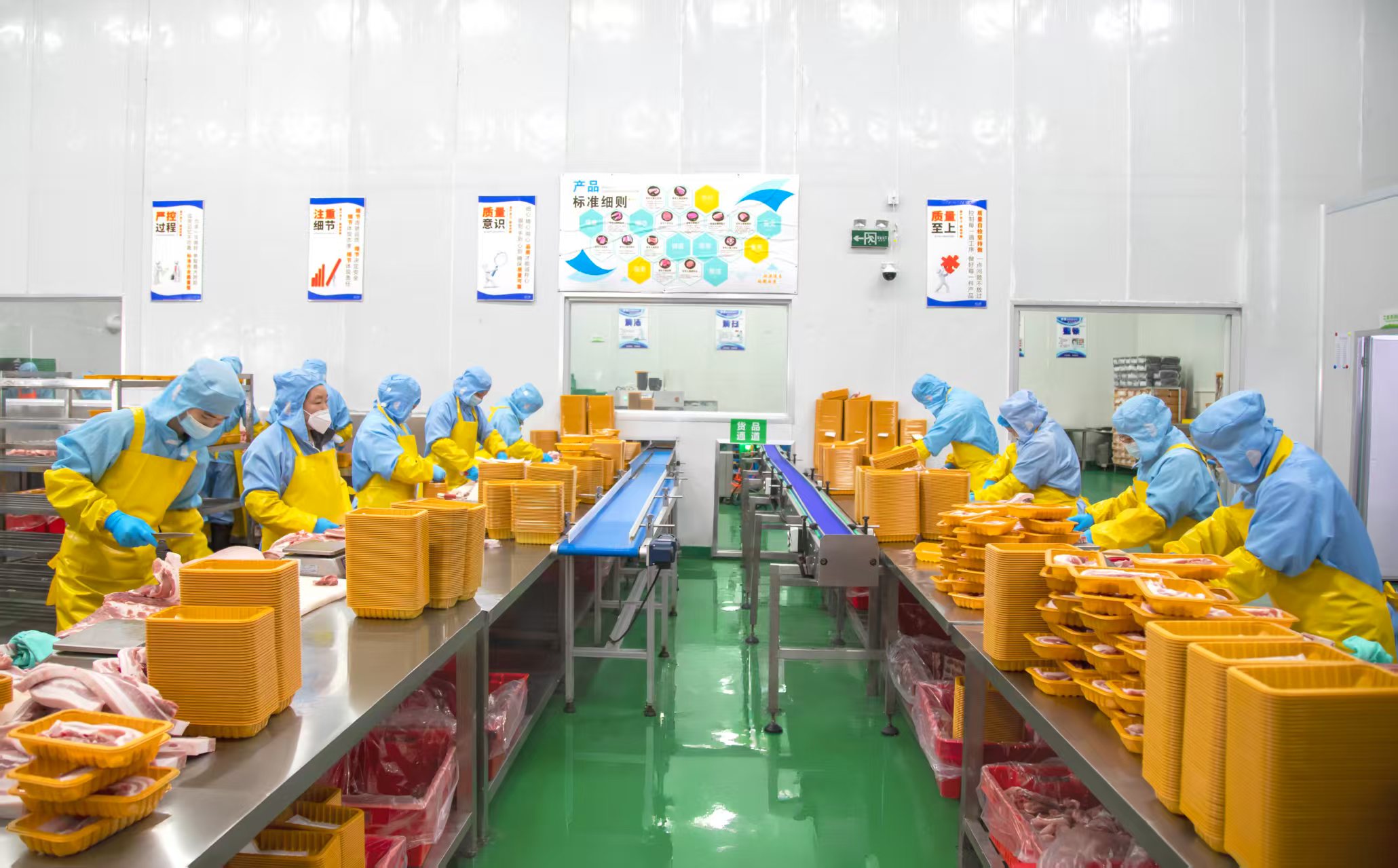 ��yun�����������