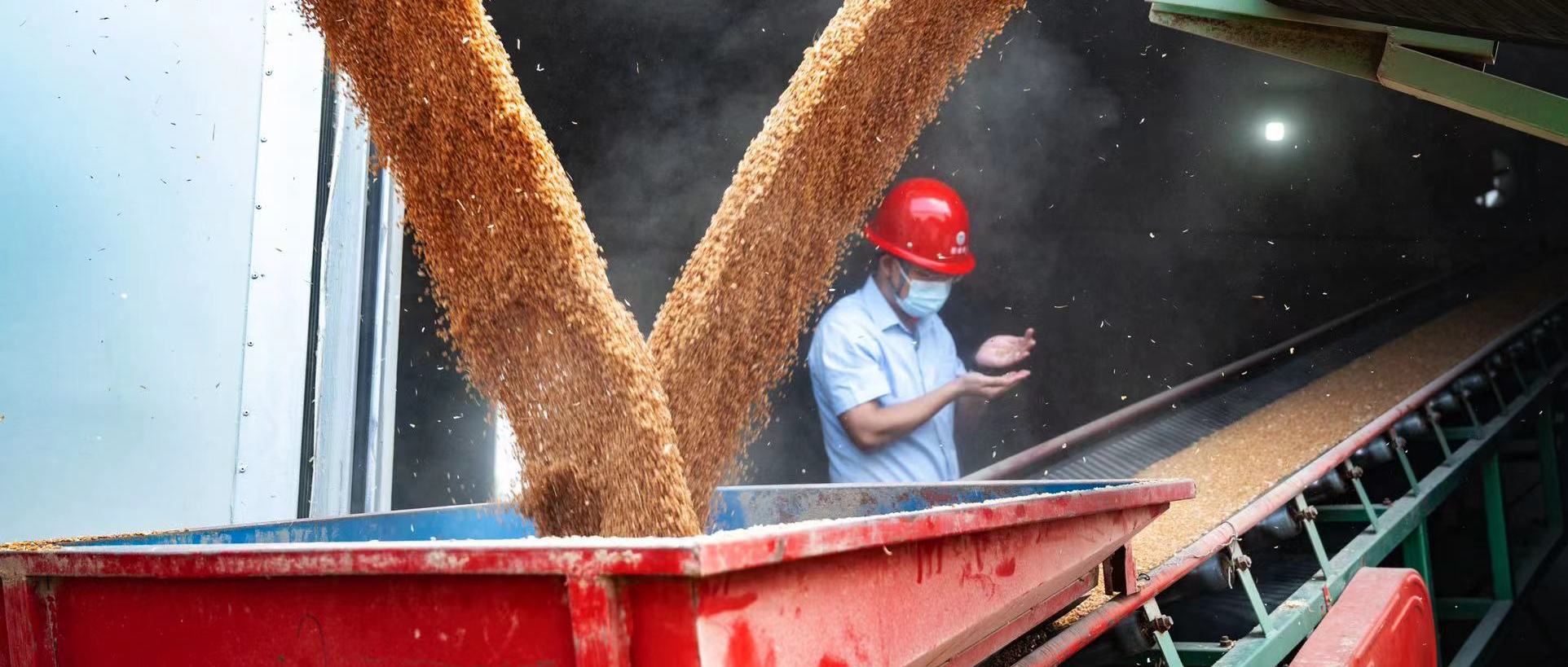 ��yun�����������